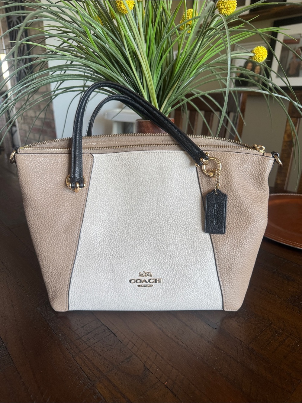 Coach Pebbled Leather Colorblock Satchel - White, Beige & Black